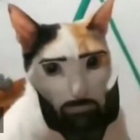 enanodemierda (@mancuelloklar) 's Twitter Profile