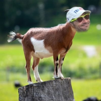 Selon Fayza j'suis Nasser
Twittos spécialisé sur la F1 et d'autres sports
Infos, Thread...
Enstone hate account