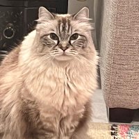 CatieE (@catiee626) 's Twitter Profile