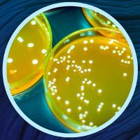 Biology OA (@biologyoa) 's Twitter Profile Photo Biology OA (@biologyoa) 's Twitter Profile Photo