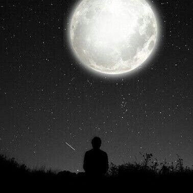 bahacknmz's profile picture. Ya herkes dans edecek ya da hiç kimse.