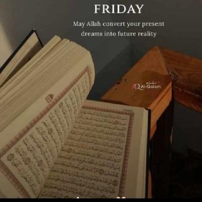 Mohamme76014552's profile picture. 