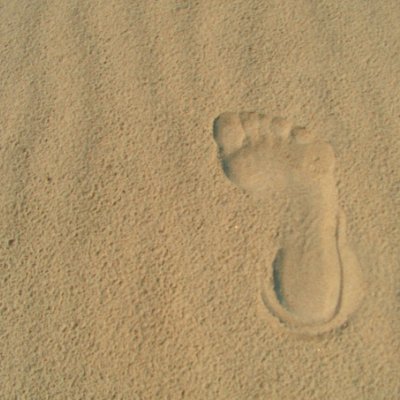 🇵🇱 28 Male. Shout-out page for beautiful feet.
I'm doing this for fun, lover of toes and flat shoes
NSFW 18+ only. No minors!!!!