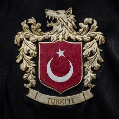 MSancar16's profile picture. 