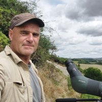 Dorset Bird Tours (@birdtoursdorset) 's Twitter Profile Photo Dorset Bird Tours (@birdtoursdorset) 's Twitter Profile Photo