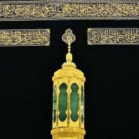 حمامة الحرمين 🕊️ (@rubpzai) Twitter profile photo