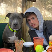 Sam Babbush (@sbabbush) 's Twitter Profile