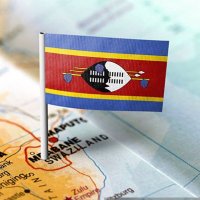 proudlyswazi (@proudlyswazi) 's Twitter Profile Photo