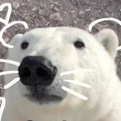Moo Profile