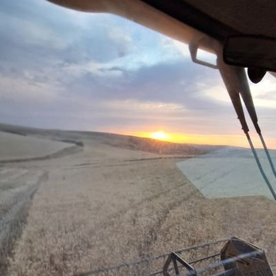 beyyto06's profile picture. 