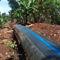 Eng.Musau Eric (@ericmus02616037) 's Twitter Profile