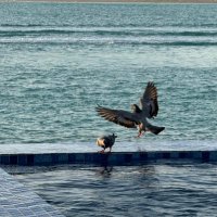 Abdulrahman Katouah عبدالرحمن كتوعه (@akatouah) 's Twitter Profile