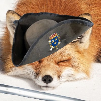 RoyalistFoc's profile picture. Nationalist | Anti-Islam | Anti-Globalist | Amateur conflict mapping