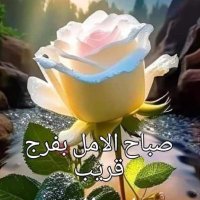 علاء ورشا (@nmm982047688103) Twitter profile photo