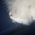 Cariad52 (@sharon07567725) Twitter profile photo Cariad52 (@sharon07567725) Twitter profile photo