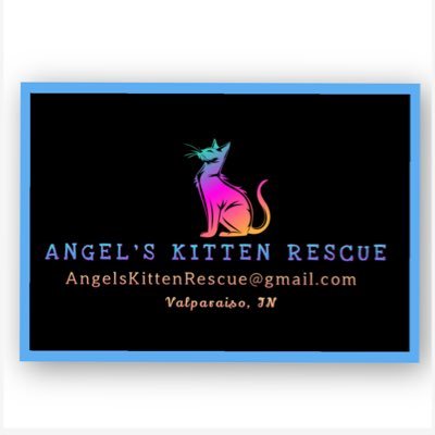Musician & Dj, #Feeestyle #rap - giving cats safe place to give birth & find ❤️homes 🐈 #ChronicPain” 🙏 CA$AngelsKittenRescue #CryptoHelpingRescue