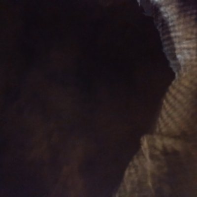 mysetmeset's profile picture. Effort never betrays anyone.