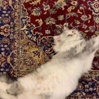 رُ |🤍 (@irui34) 's Twitter Profile
