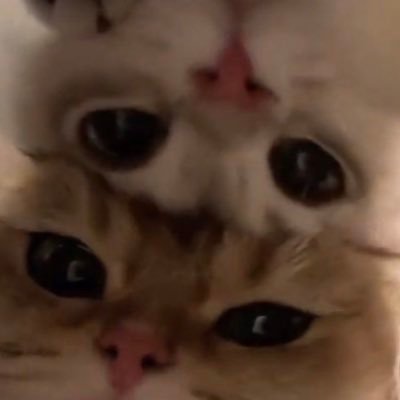We were right till we weren't bir gün güneşim doğacak inanıyorum