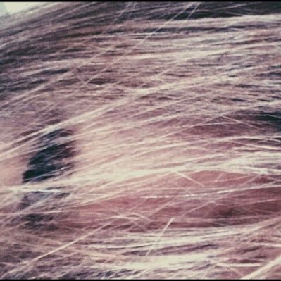 bella_ryall's profile picture. twenty six • bibliophile • sc/ig/tt: bellaryall