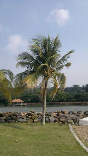 مربية الأجيال, , صانعة الأبطال