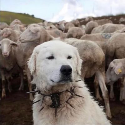 mirthea_'s profile picture. your friendly neighborhood @WAXPEER guy