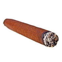 Martin Cigar (@cigarmartin) 's Twitter Profile