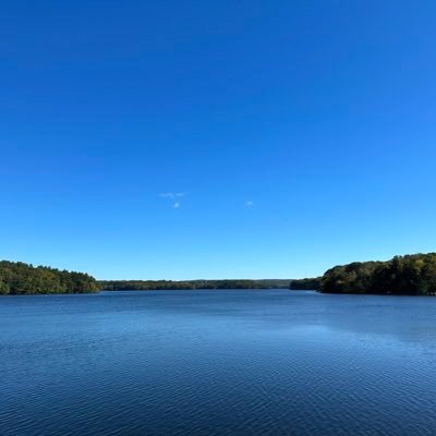 quotesbytraders's profile picture. Proverbs to trade by