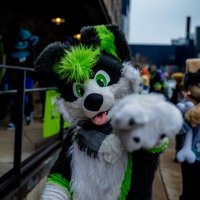 Toby Collie (@thatonecollie) 's Twitter Profile
