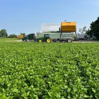 Pat Shanahan (@patshanahan15) 's Twitter Profile