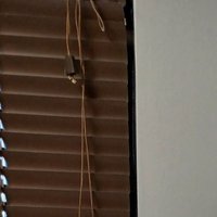 CFCF (@ceshershella) 's Twitter Profile