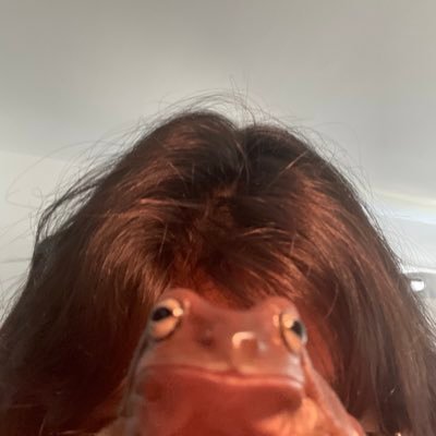 i’m just a little guy. trans lives matter and black lives matter. free palestine free congo free sudan free lebanon free yemen free PR free hawaii