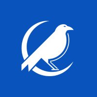 Raven Intelligence (@ravenintell) 's Twitter Profile
