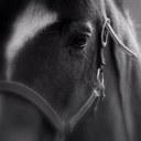 Marie Wilcox - @WilcoxMarie - Twitter