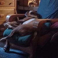 Sallycat50 (@sallycat50) 's Twitter Profile