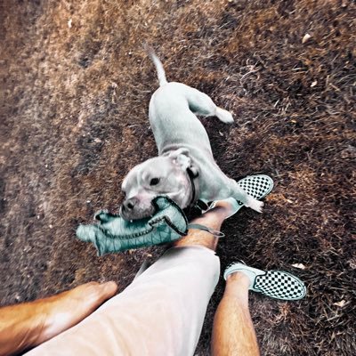 accptnce_is_key's profile picture. 