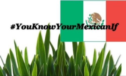 OFFICIAL #YouKnowYourMexicanIF