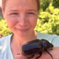 Jennifer Hamel (@jenhamel) 's Twitter Profile