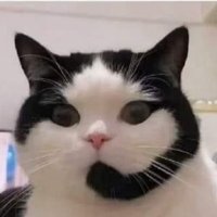 Rafa (@daelybae) 's Twitter Profile Photo Rafa (@daelybae) 's Twitter Profile Photo