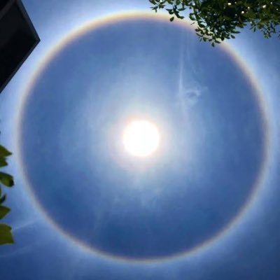 ma_san811's profile picture. 