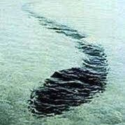 ryujin78's profile picture. 音楽 歴史 不思議が好物 自由奔放のおじさんです Support and Acting for good luck activities