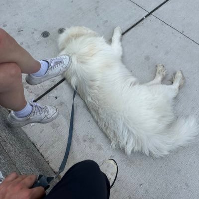 bleuapprentice's profile picture. wholesome carpenter