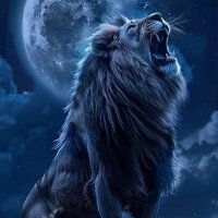 SekyereBa Nanasei (@oseil2894) 's Twitter Profile Photo