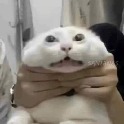 lajota68's profile picture. 