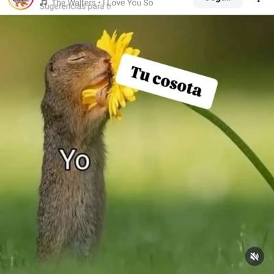 Medico6970's profile picture. Inter, dependiendo la persona.