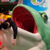 たま@苺大福🐾 (@okotamaplate) 's Twitter Profile Photo