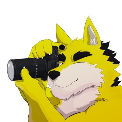 kevinbigkai's profile picture. 黃色狼狼一隻可以叫我大凱或是凱大,獸圈萌新攝影仔,滿喜歡出去玩可以找我一起或找我毛拍唷~