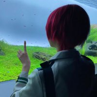 犬積! (@inutsumo_) 's Twitter Profile