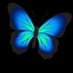 Eren Derici (@derici_eren) Twitter profile photo Eren Derici (@derici_eren) Twitter profile photo