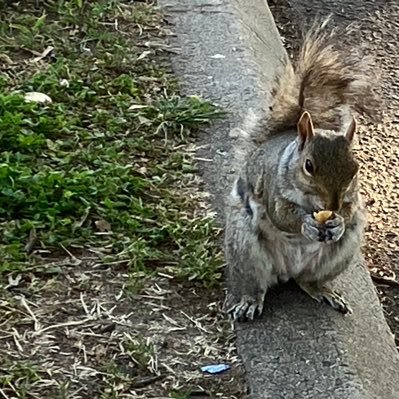 zhang_peitian's profile picture. Advocate science, uphold justice, and provide constructive think tank services for the development of society and civilization.